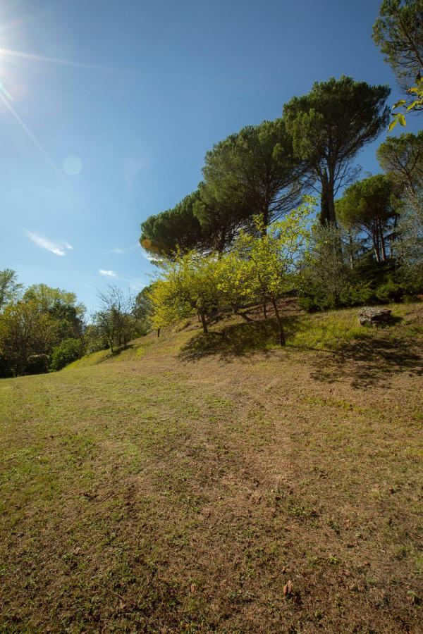 Monteaperto Villa Barberino di Mugello Buitenkant foto